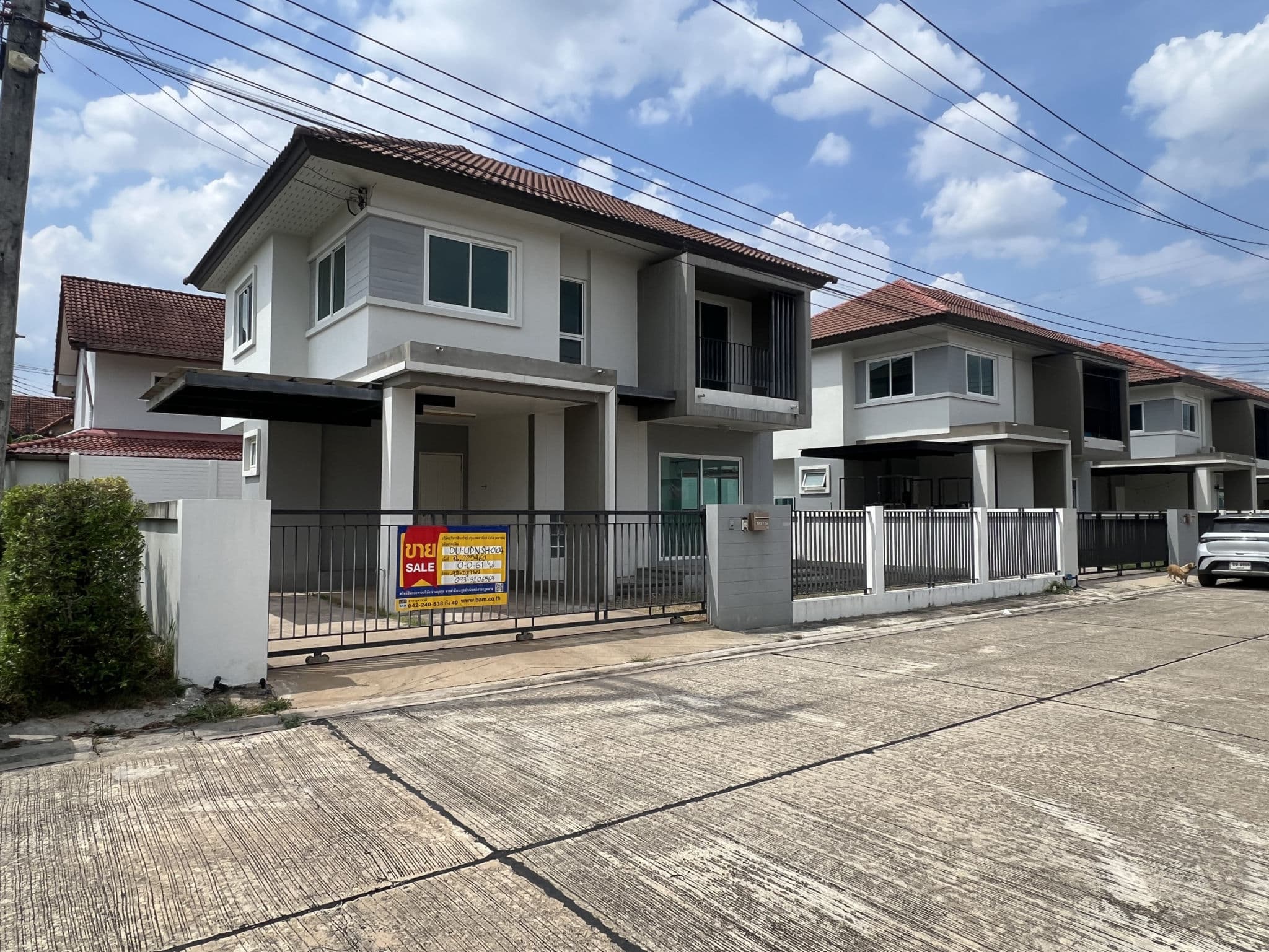 S__58490942.jpg