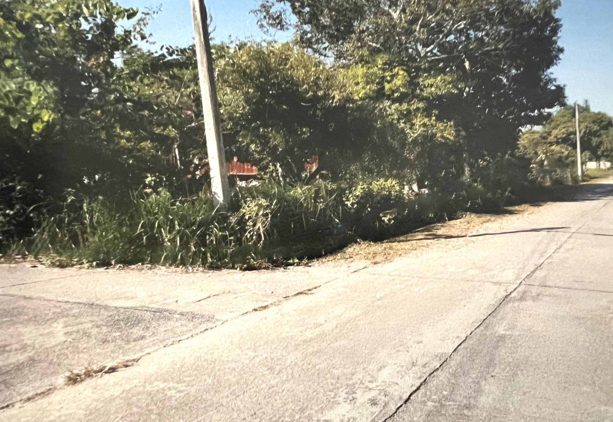 4a6e404e-1.jpg
