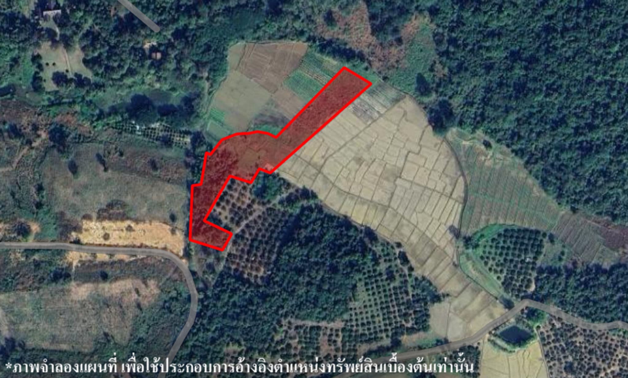 image (12).png