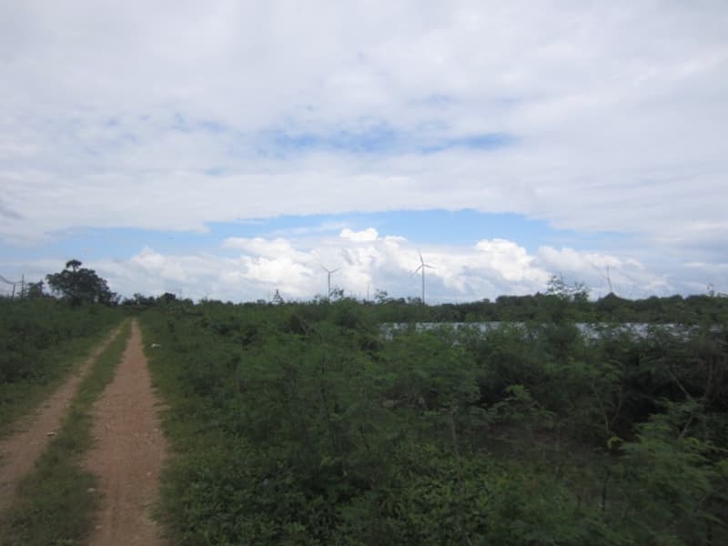 71c102dc-IMG_0344.jpg