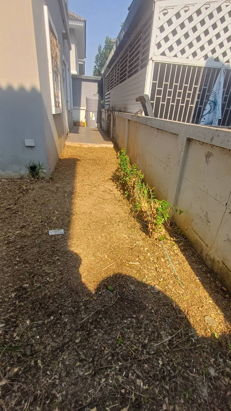 1000102990.jpg