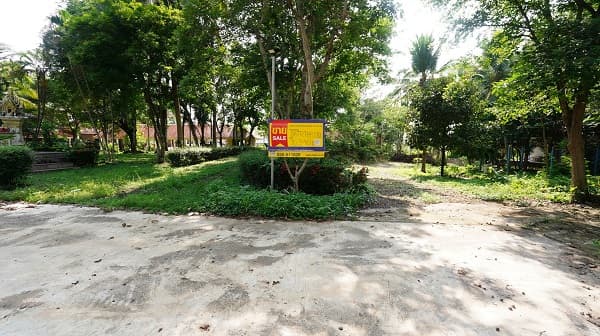 Picture4.jpg