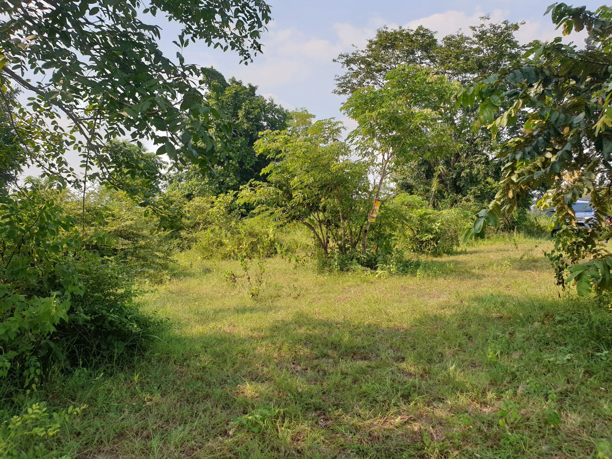 20190926_145527.jpg