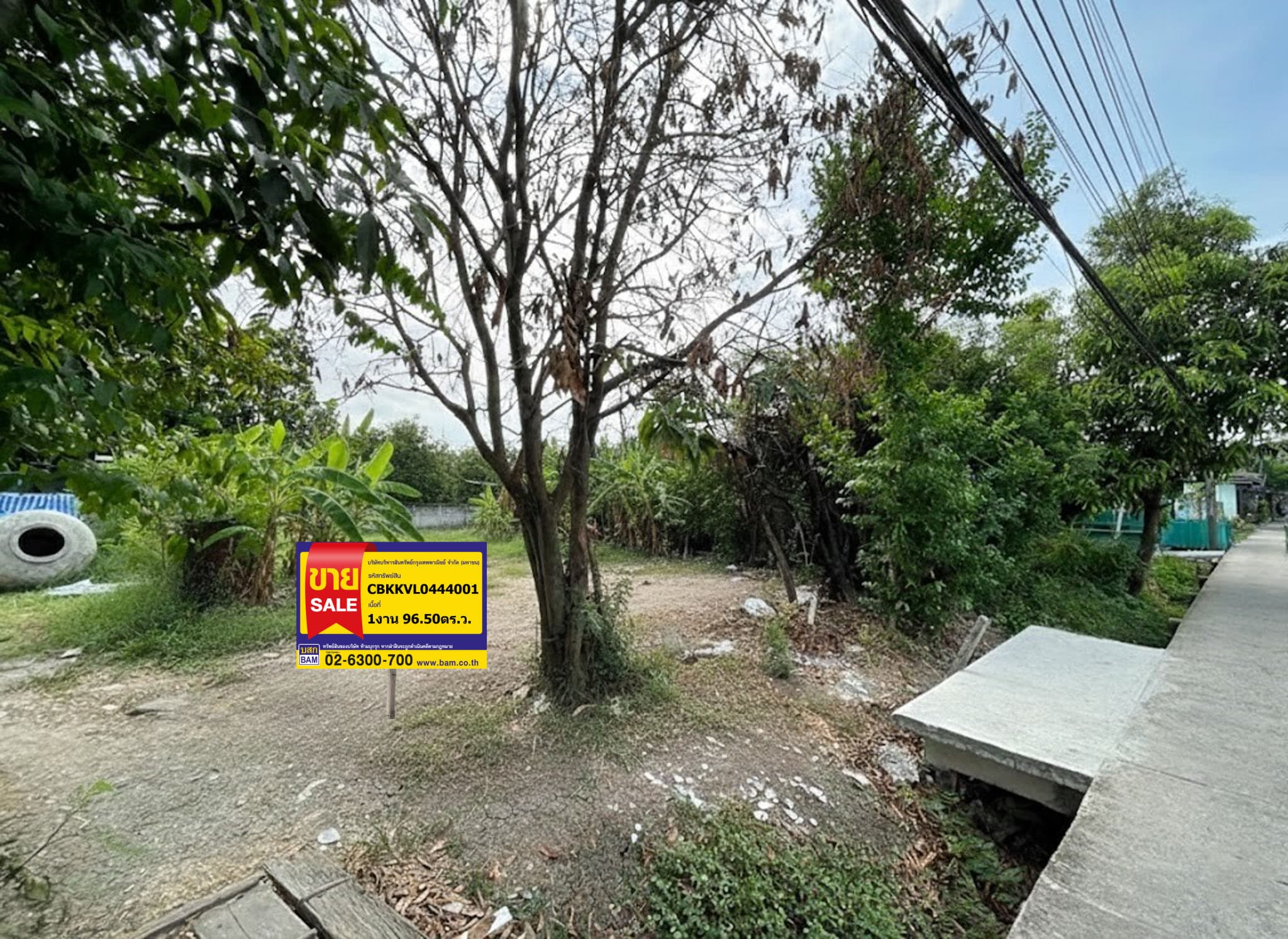 Picture1.png