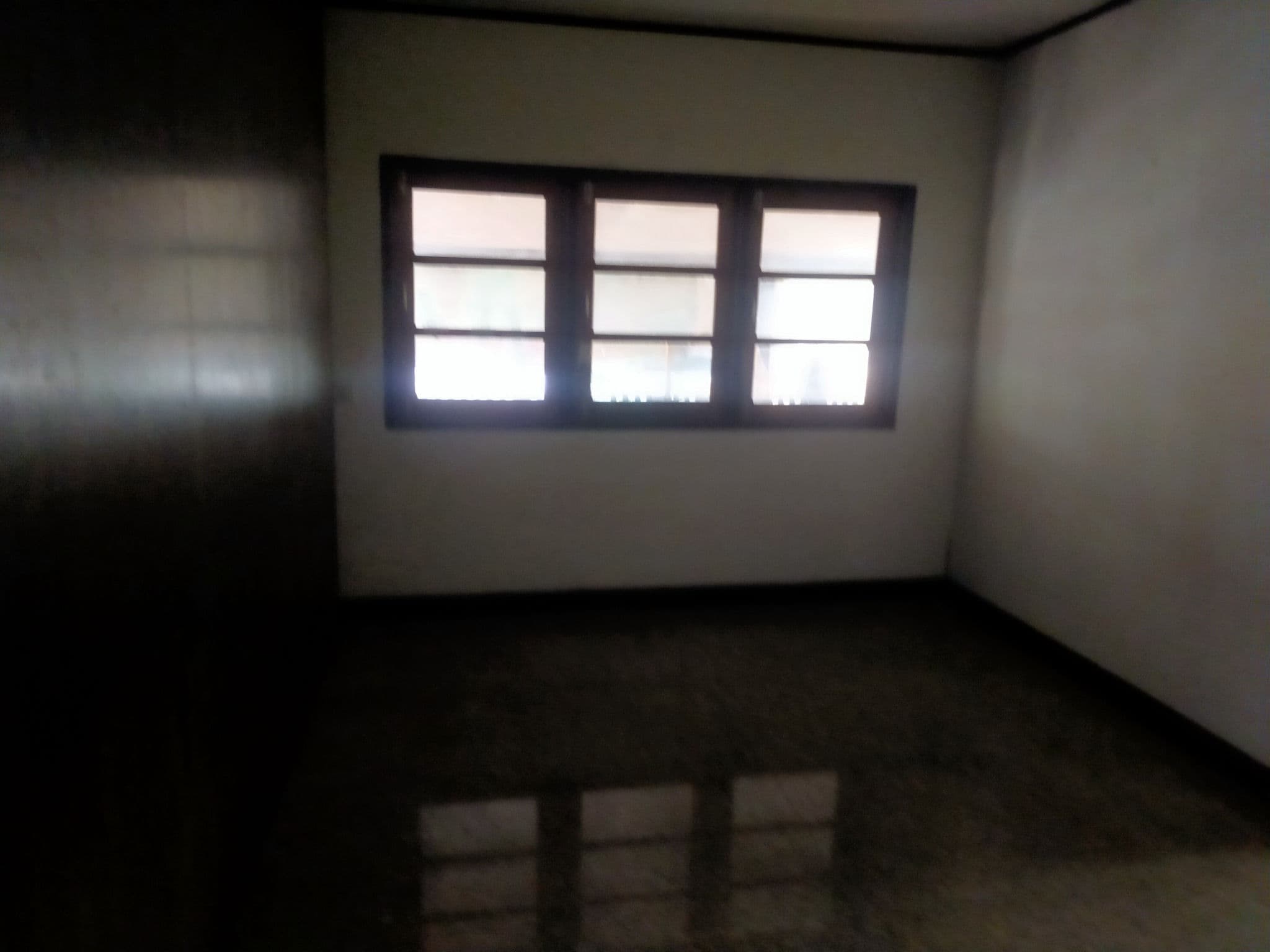 IMG20251216104258.jpg
