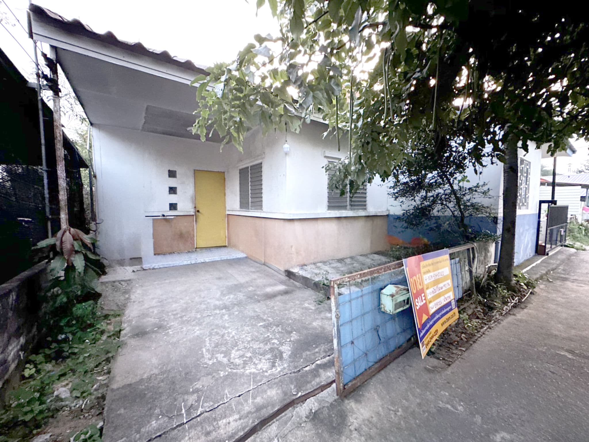 b0d5b60b-138101-1.jpg