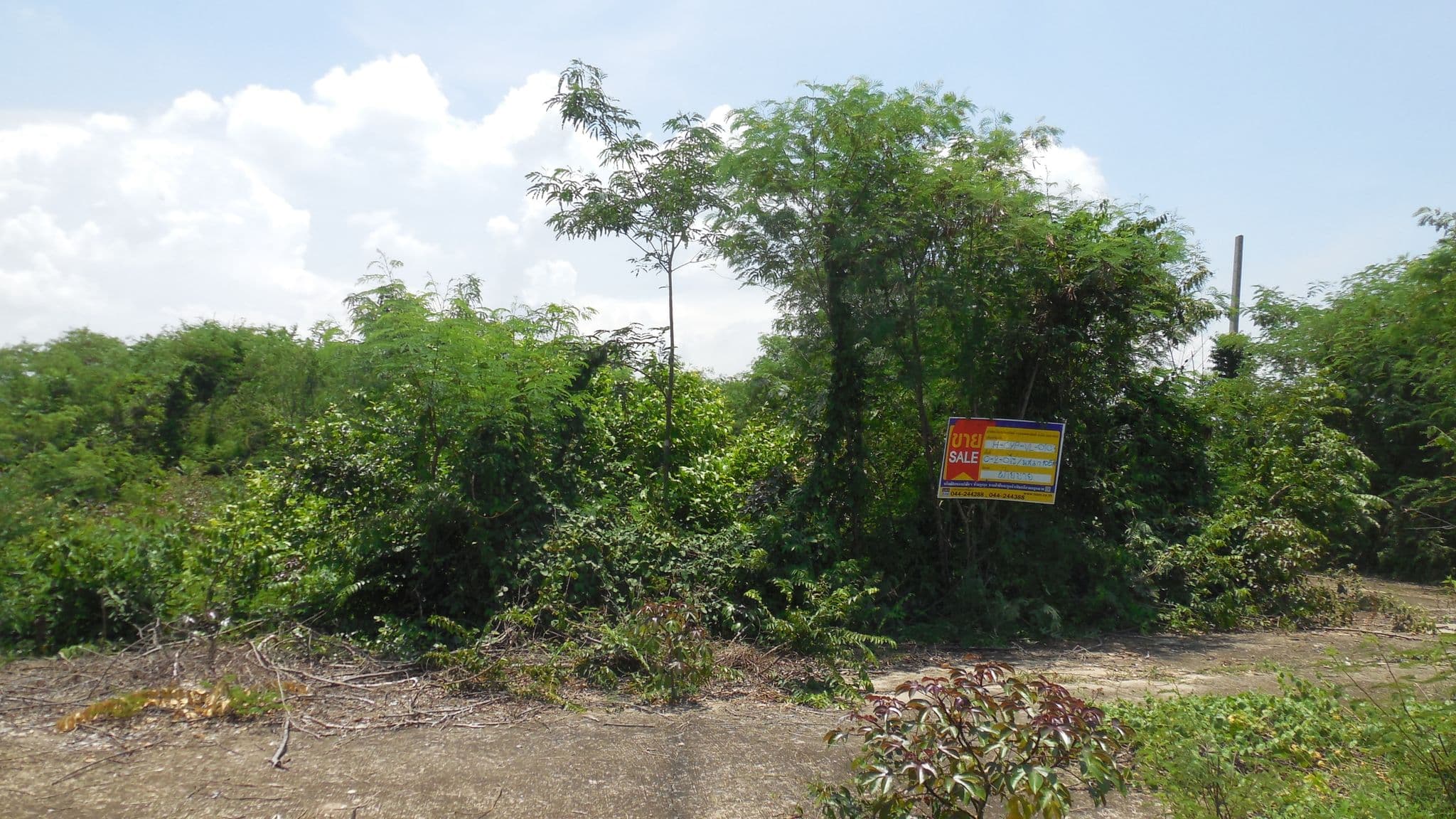 DSCN5726.JPG