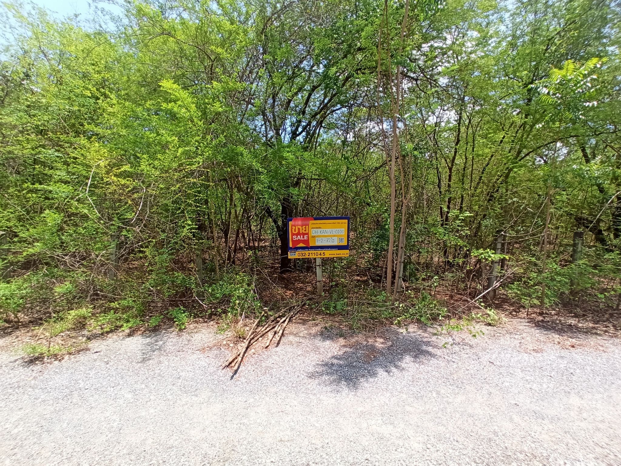 IMG_20240510_123851.jpg