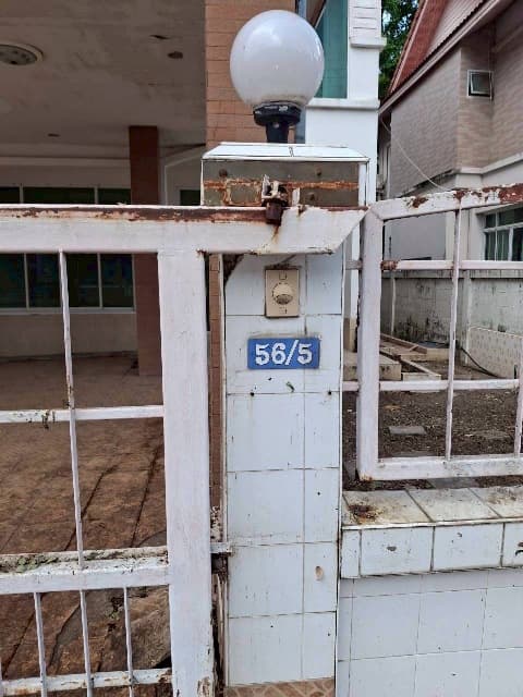 S__118686017.jpg