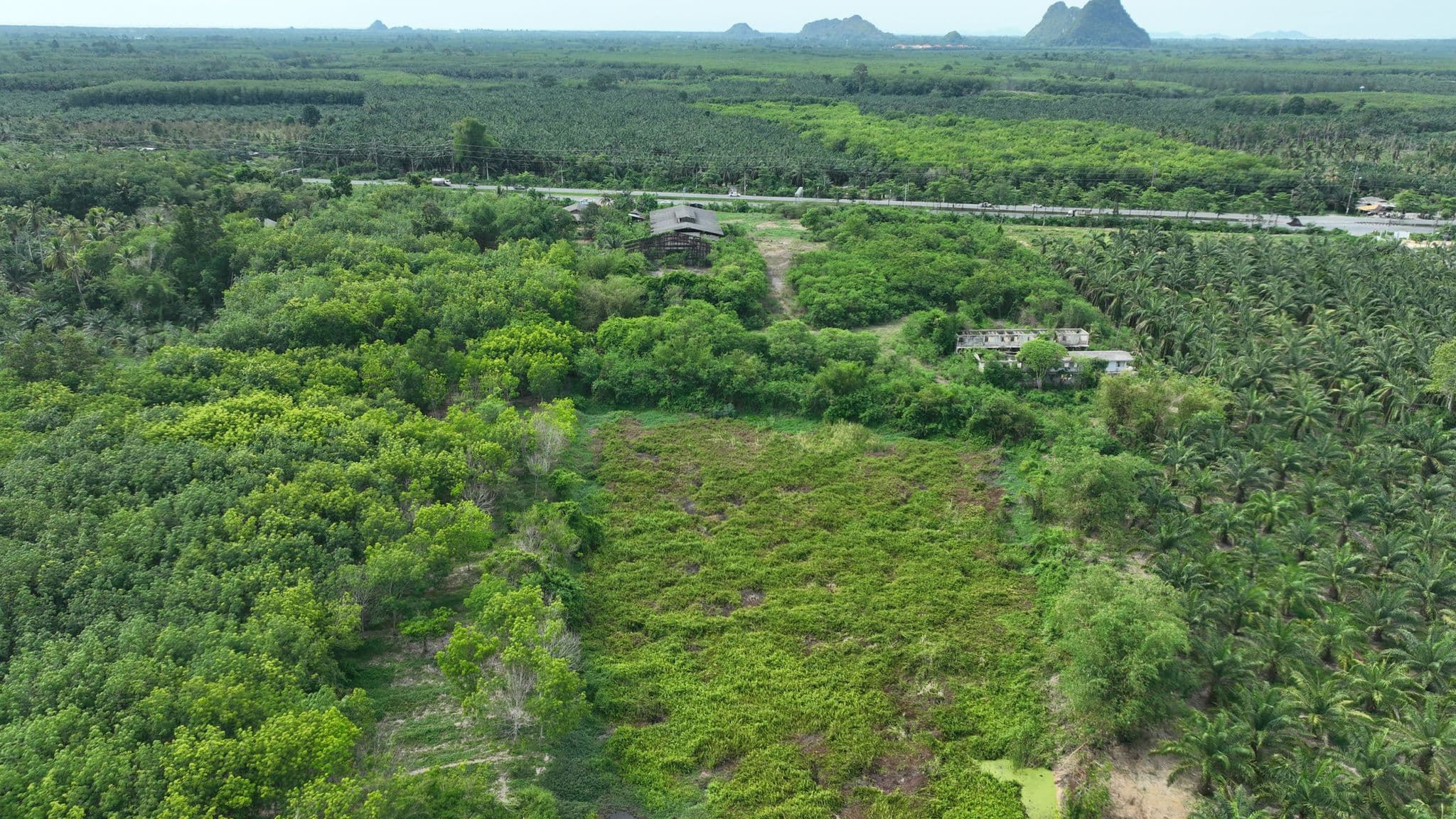 DJI_0520.JPG