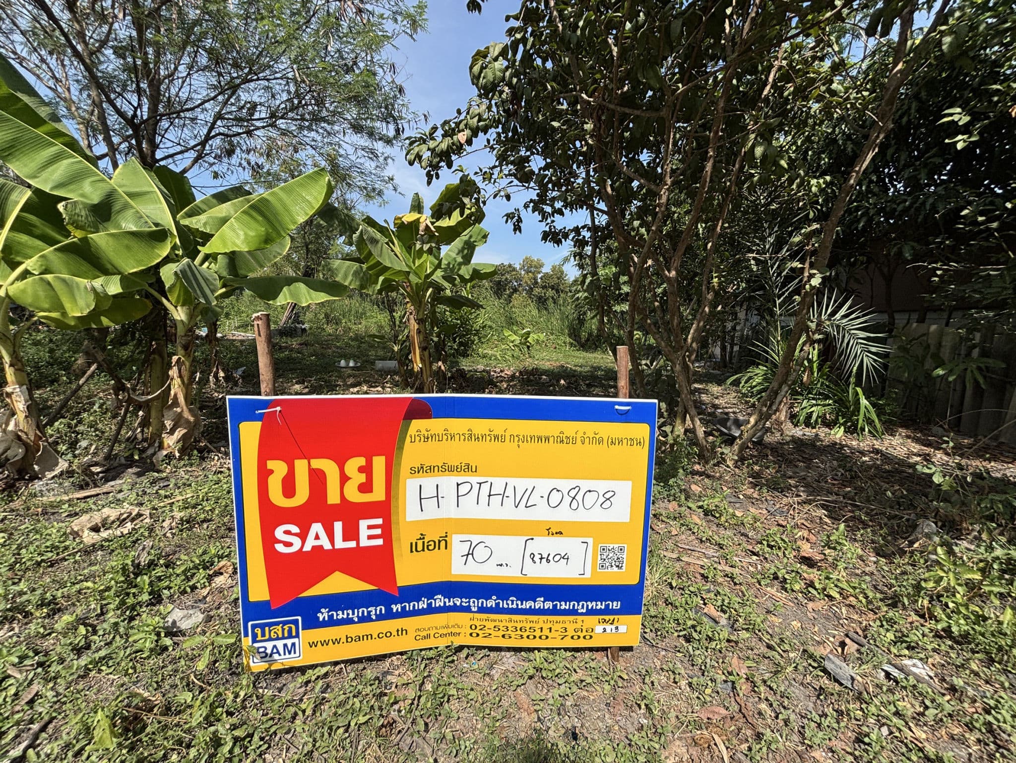 16178cc0-147316-5.jpg