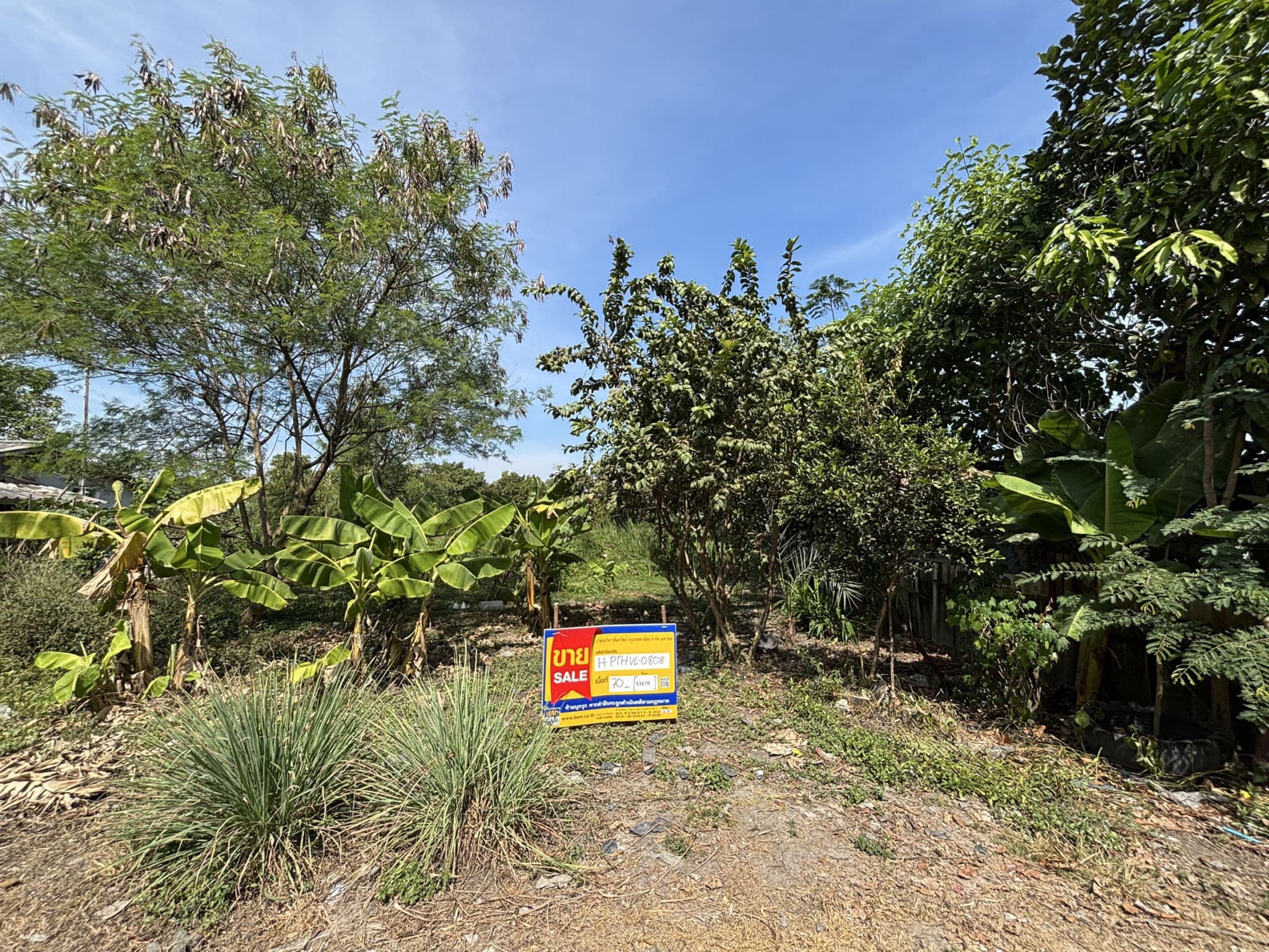 16178cc0-147316-6.jpg