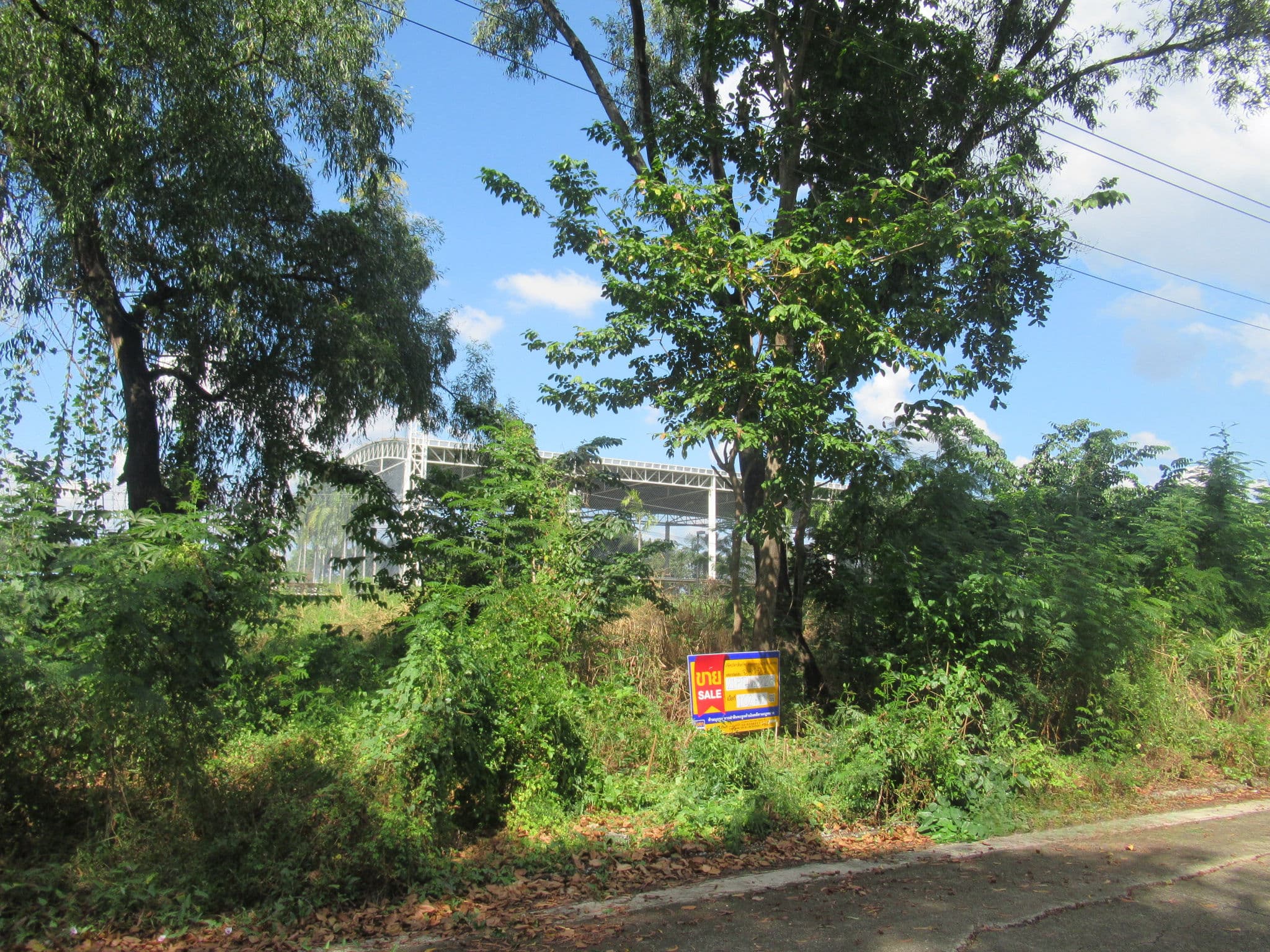 21PTHVL0028000-4.jpg