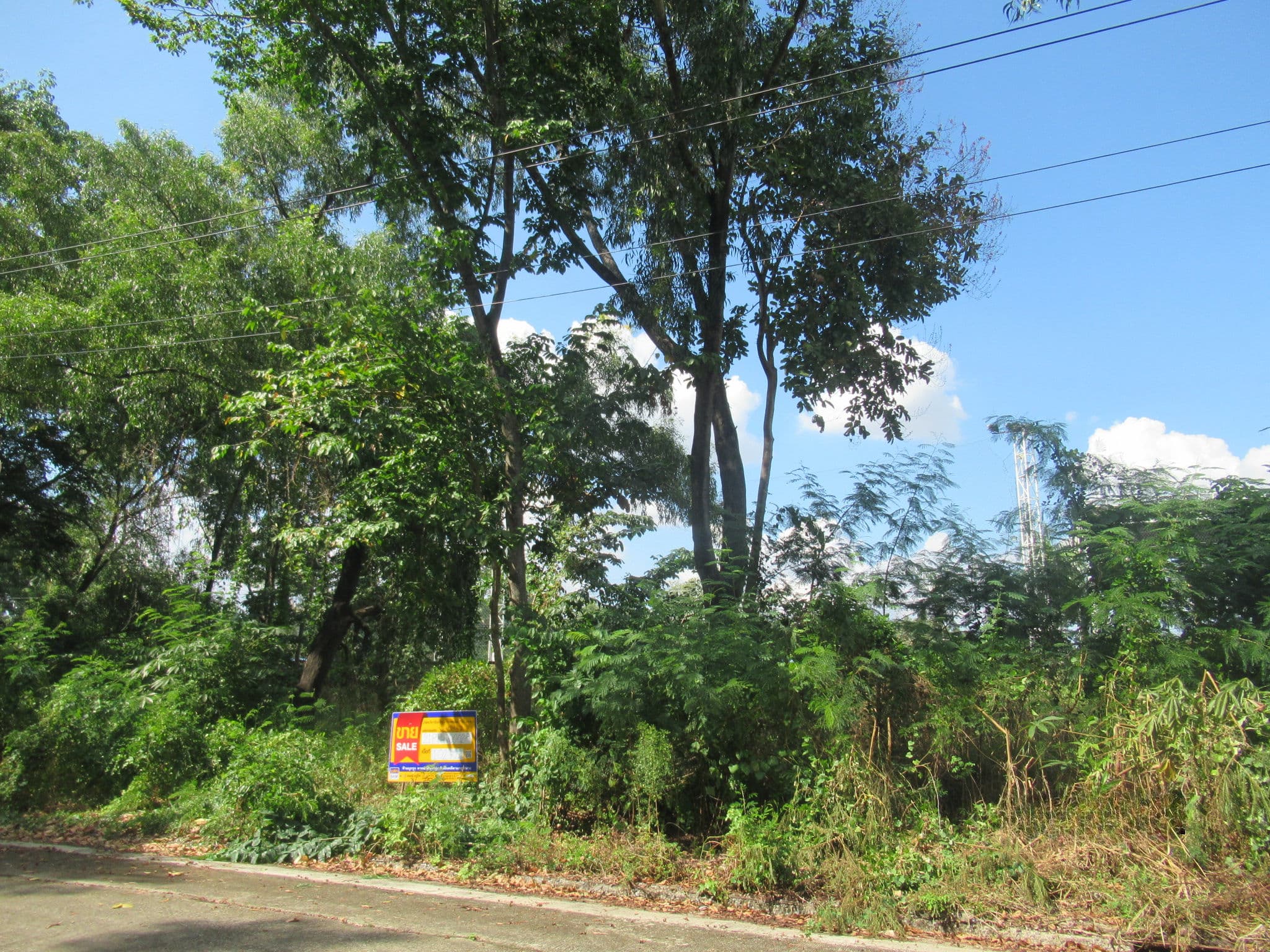 21PTHVL0028000-3.jpg