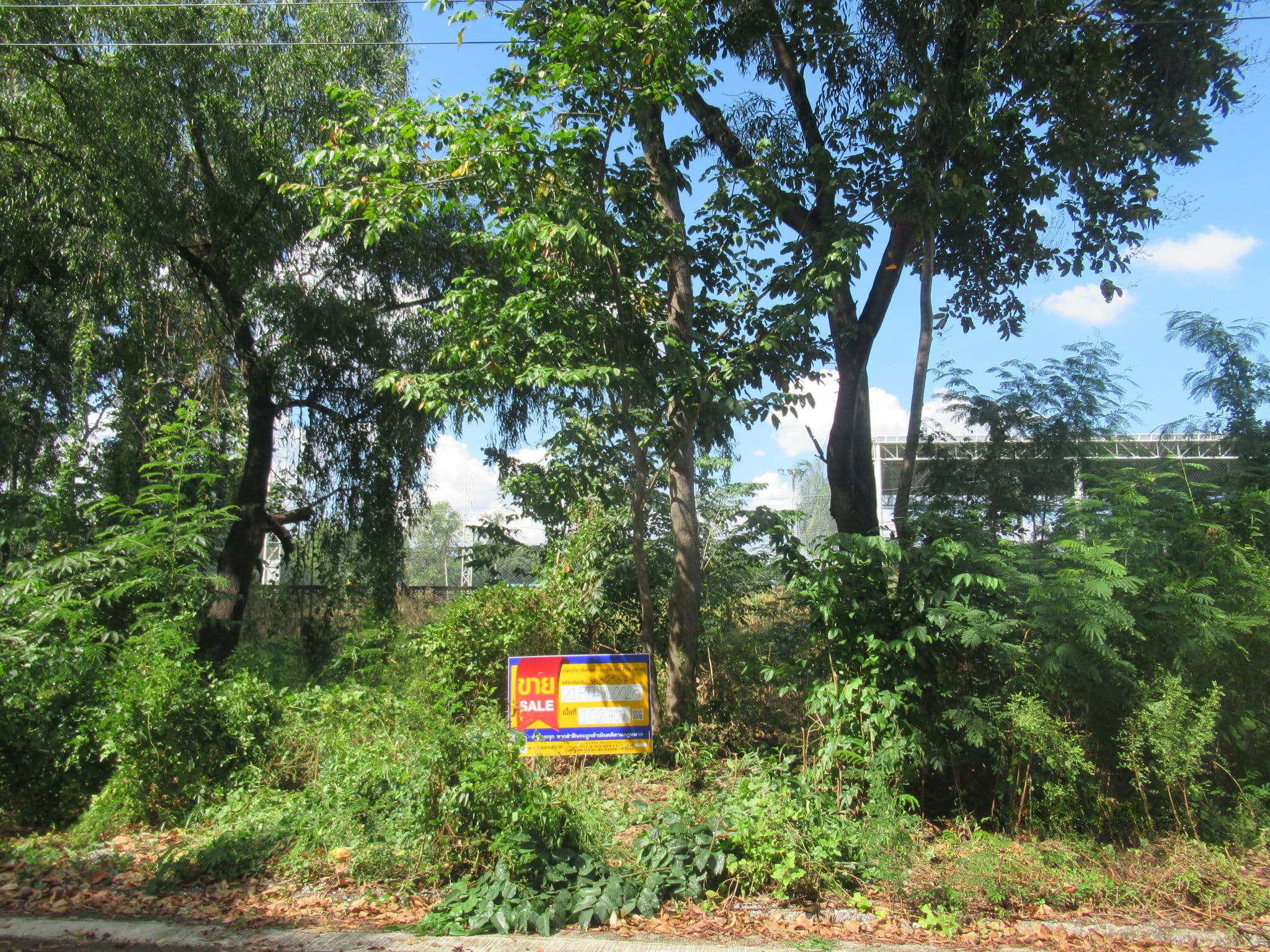 21PTHVL0028000-2.jpg