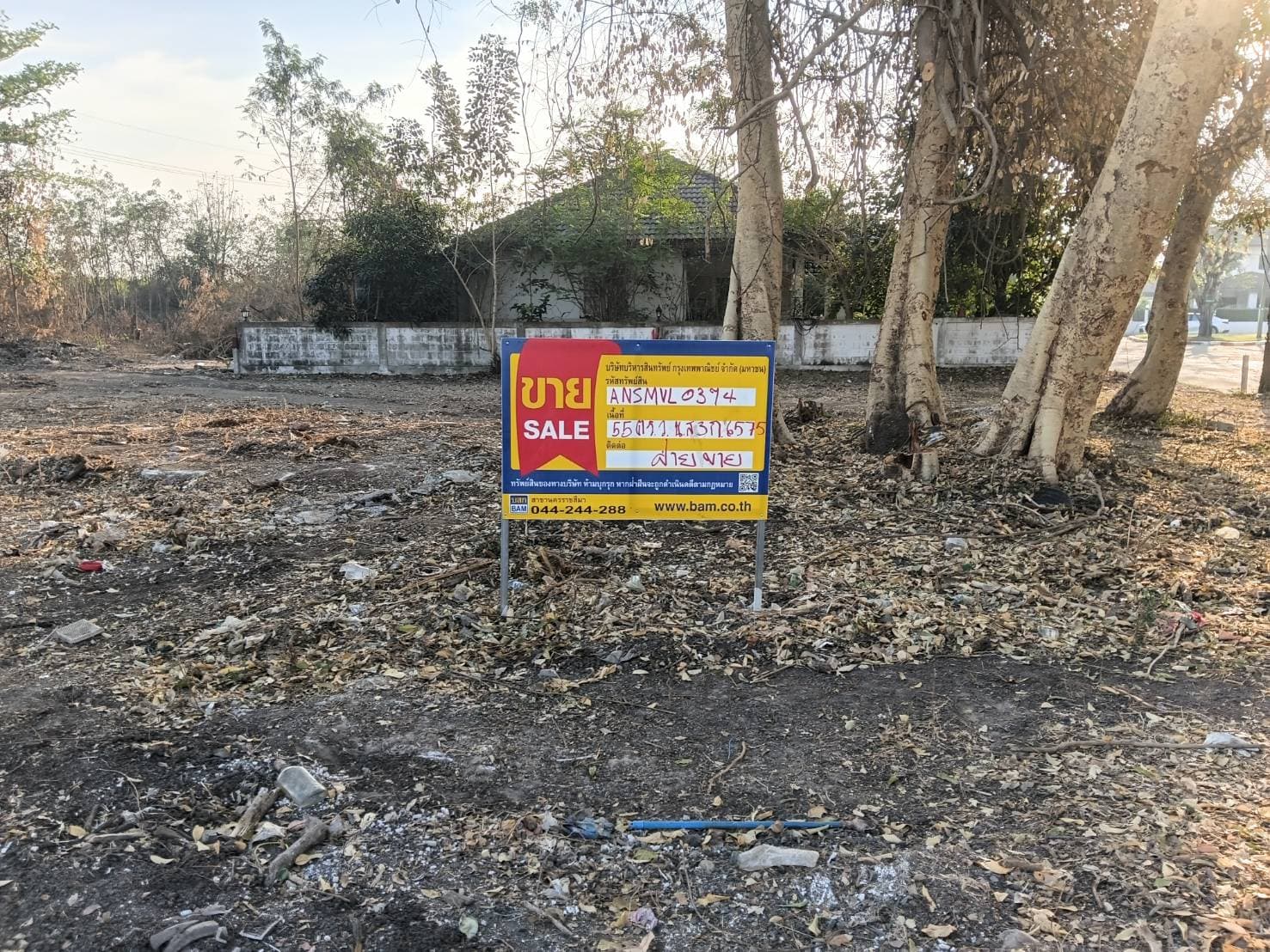 598786959111881302.jpg