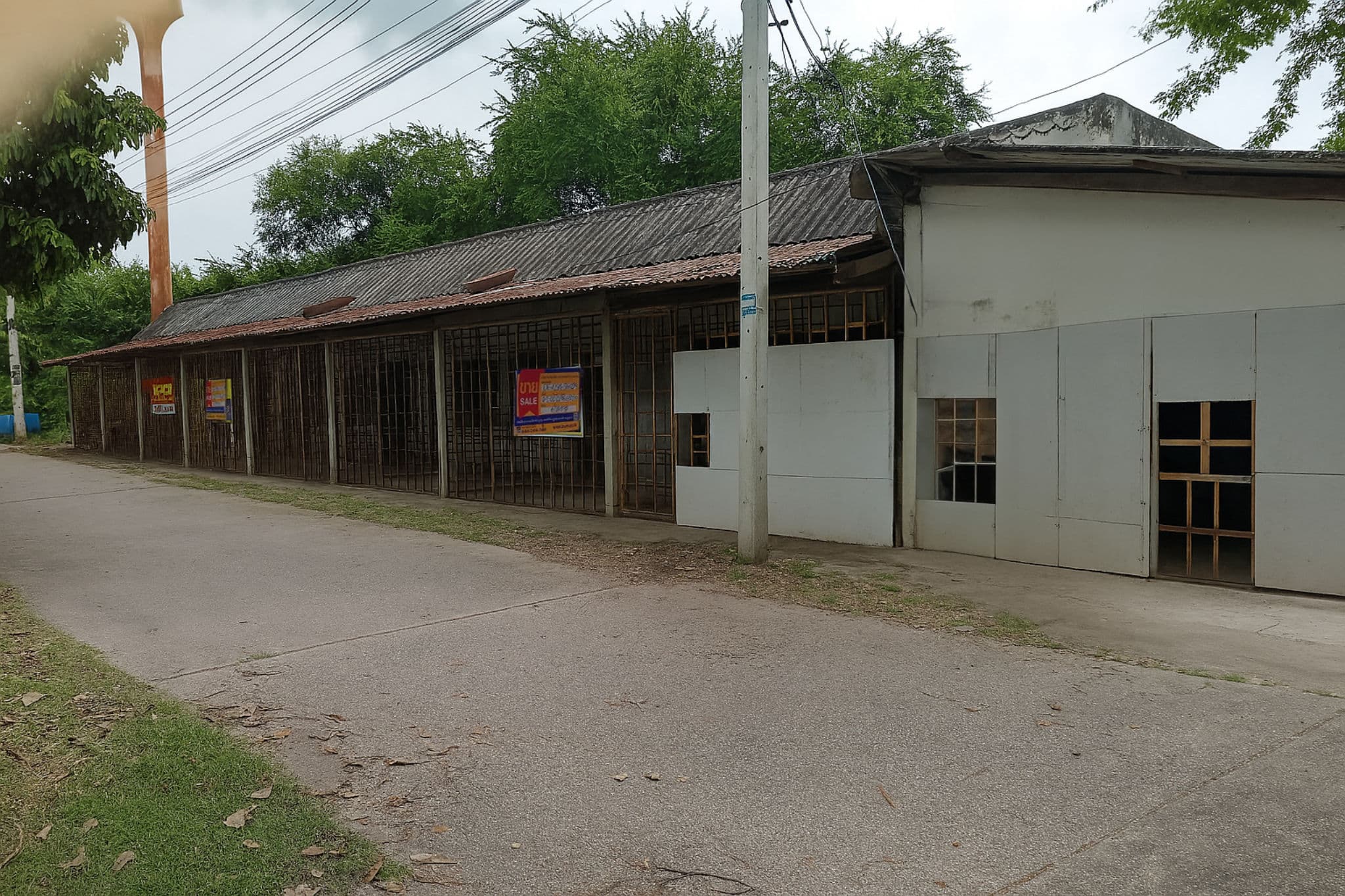 ChatGPT Image 17 ก.ค. 2568 16_53_04.jpg