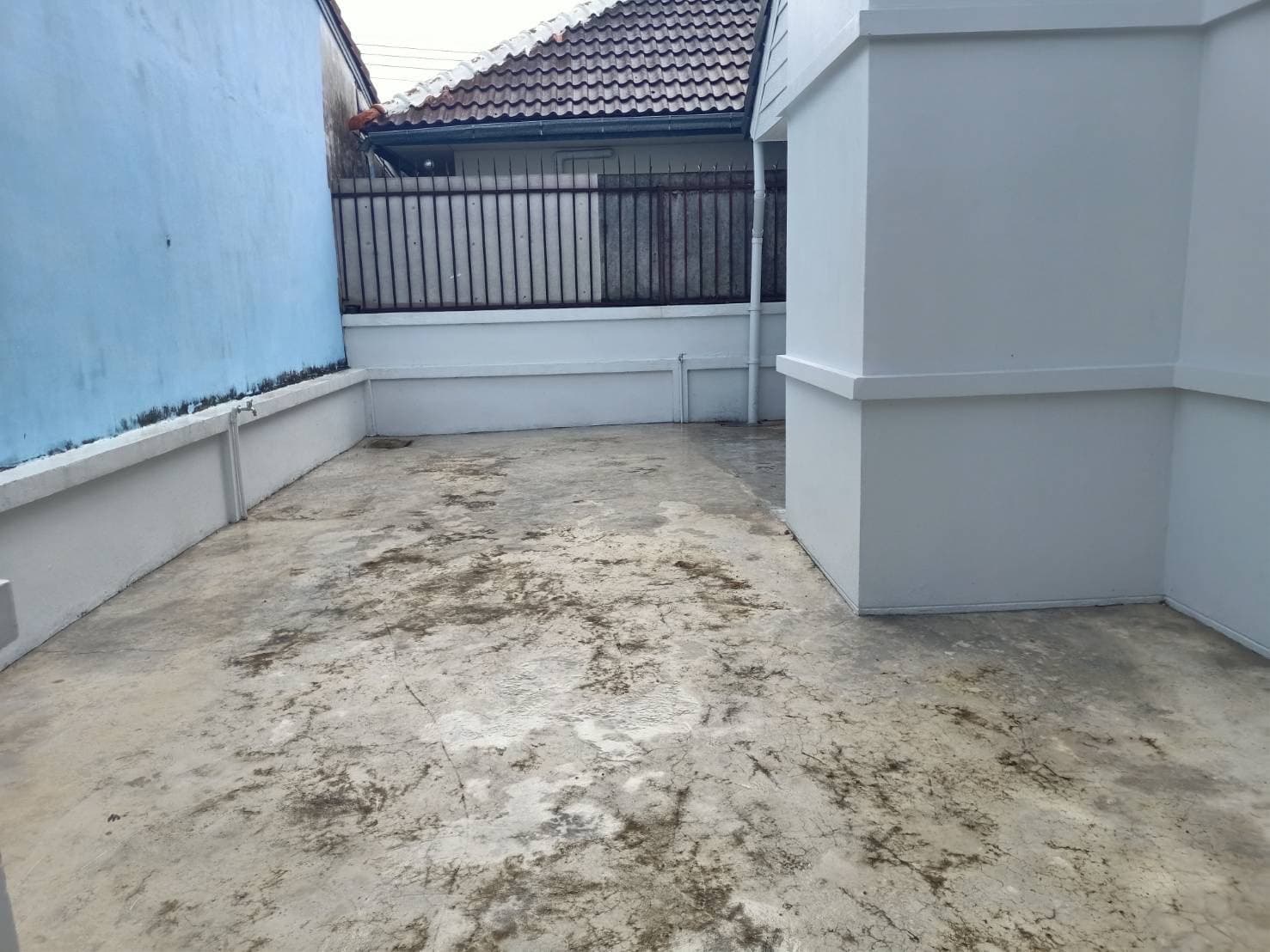 Image - 2025-10-01T094434.320.jfif