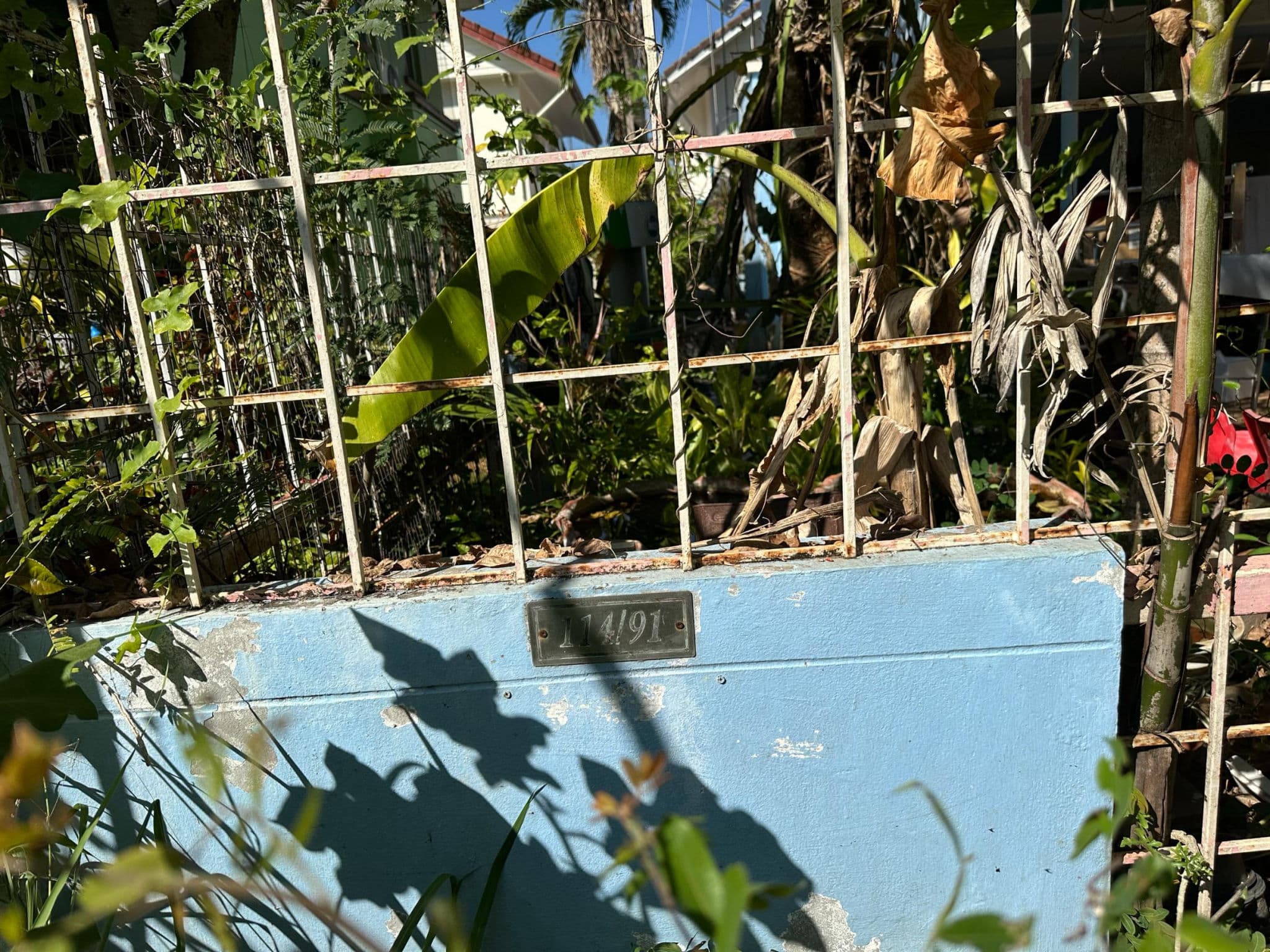 bdfe90b4-137927-1.jpg