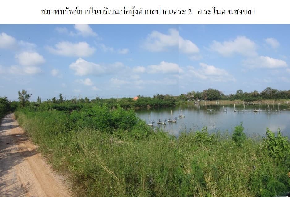 full_20200203162433.jpg