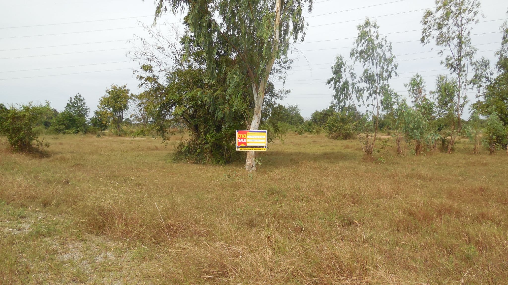 DSCN7619.JPG