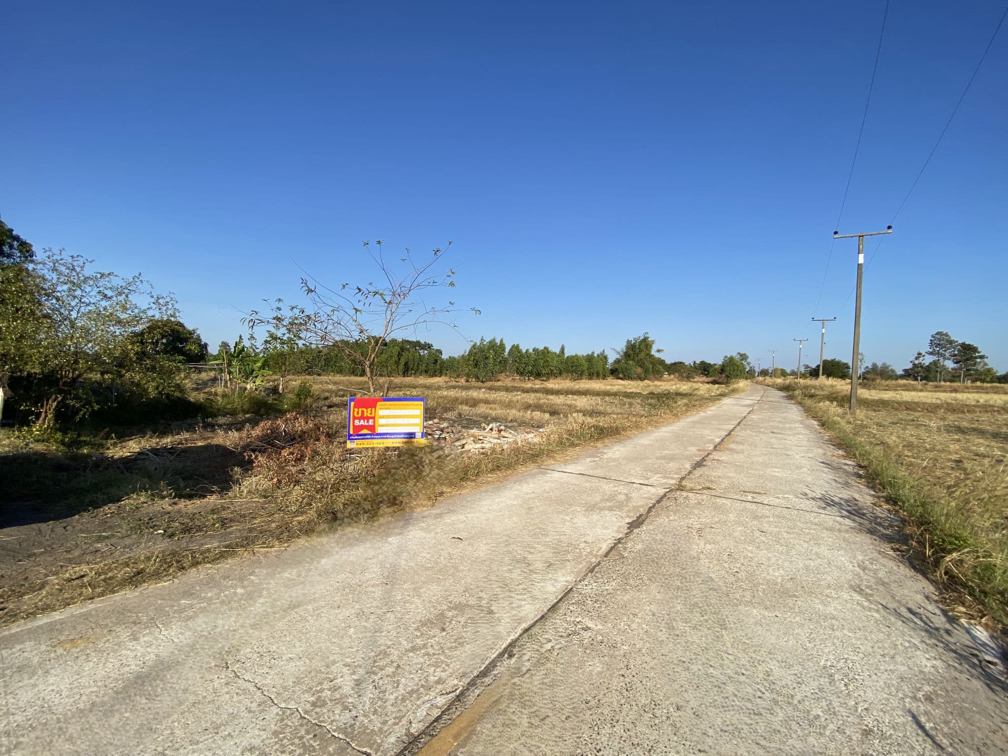 5f710931-147444-0.jpg