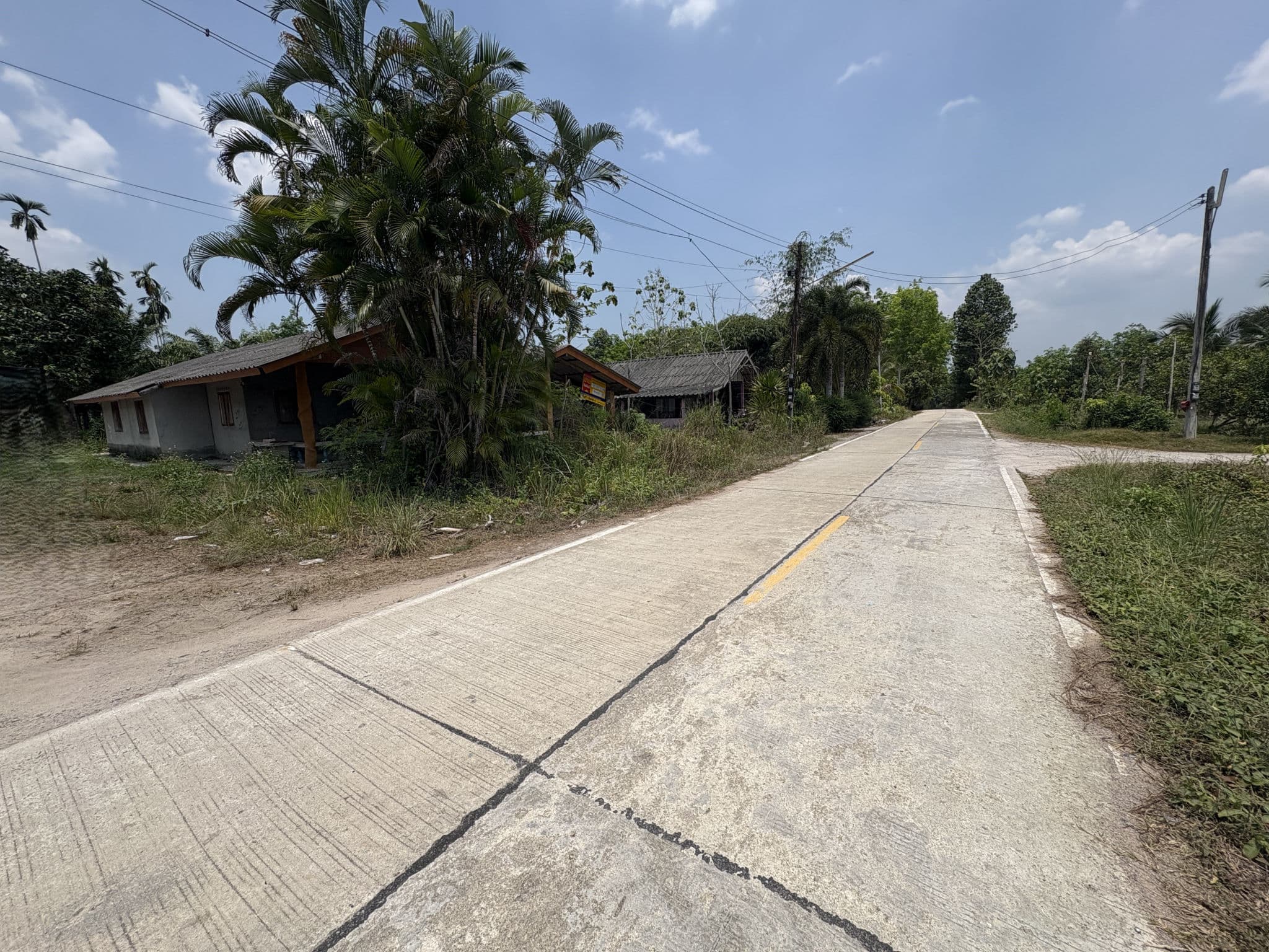 cd835497-63444-7.jpg
