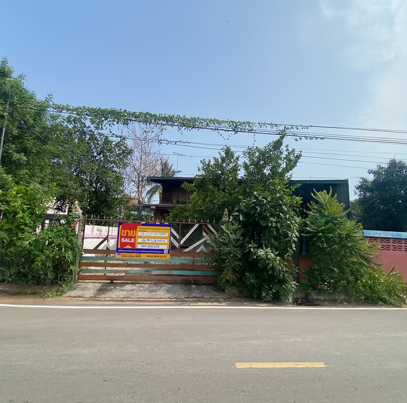 06.jpg