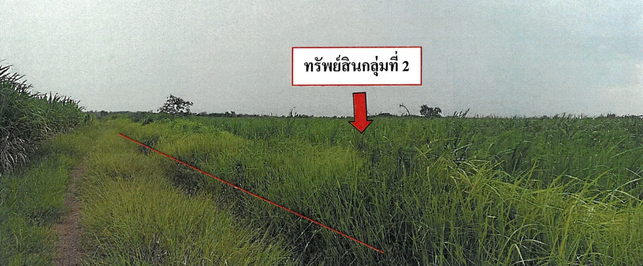 Screenshot 2026-06-19 143617.png