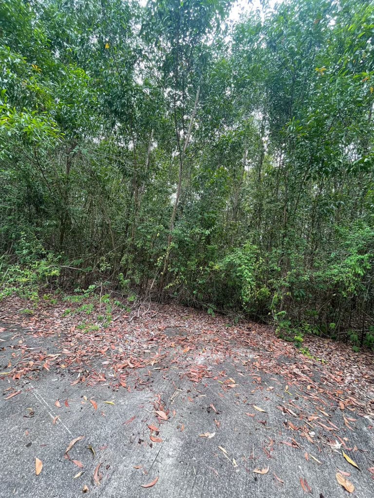 LINE_ALBUM_วงศ์ทองพัฒนา 181_๒๔๐๗๑๕_15.jpg