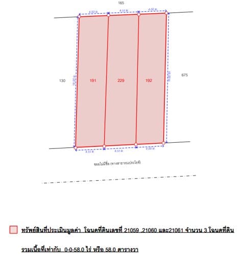 ผังที่ดิน.jpg
