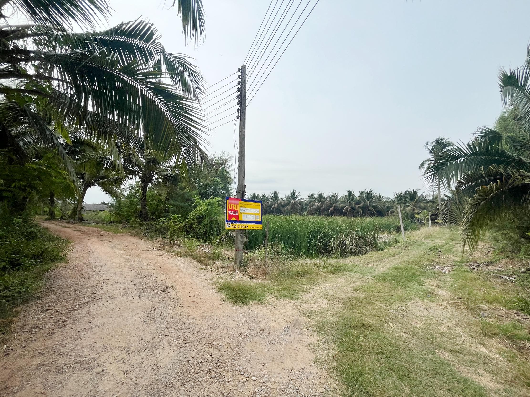 70c94898-49285-8.jpg
