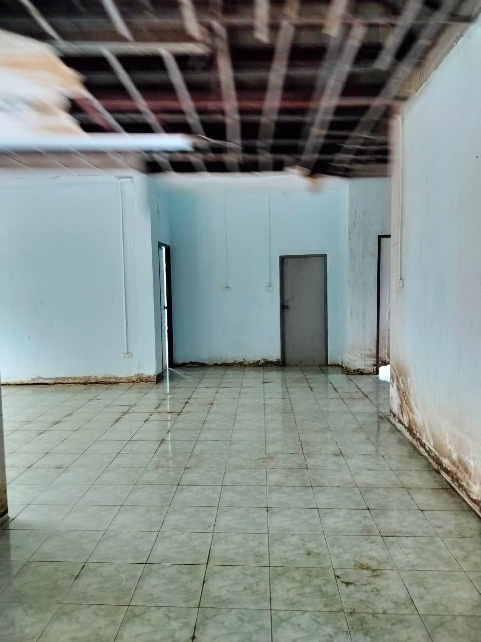 1728972343342.jpg