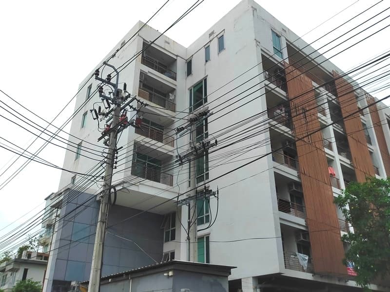 เดอะฟอเรส.jpg