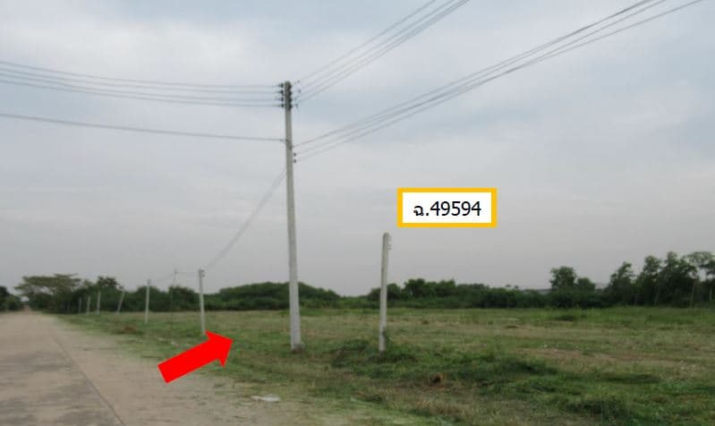 49594.JPG