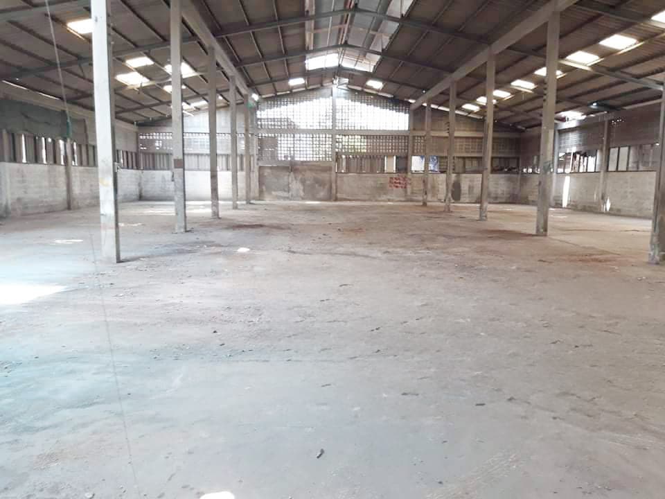 full_20190528102531.jpg