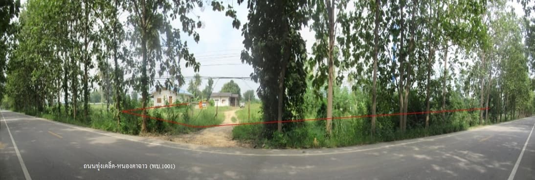 full_20210430154225.jpg