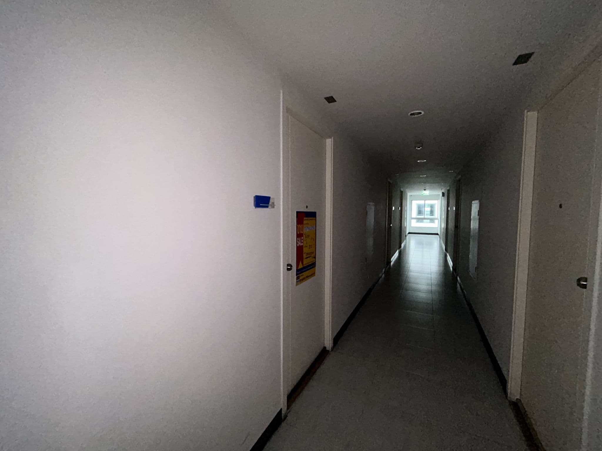 IMG_2784.jpeg