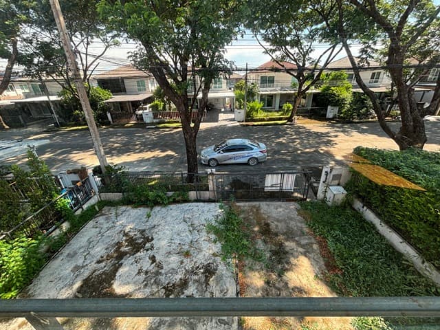 S__117375133.jpg
