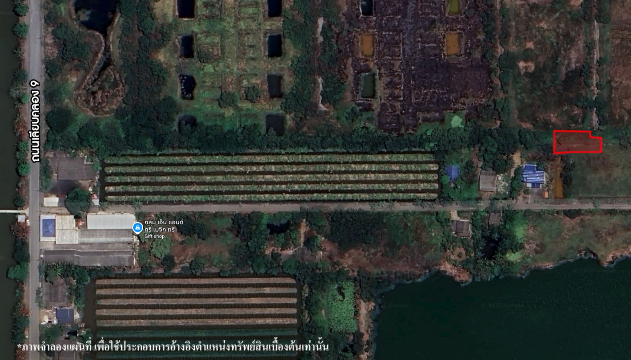 image (99).png