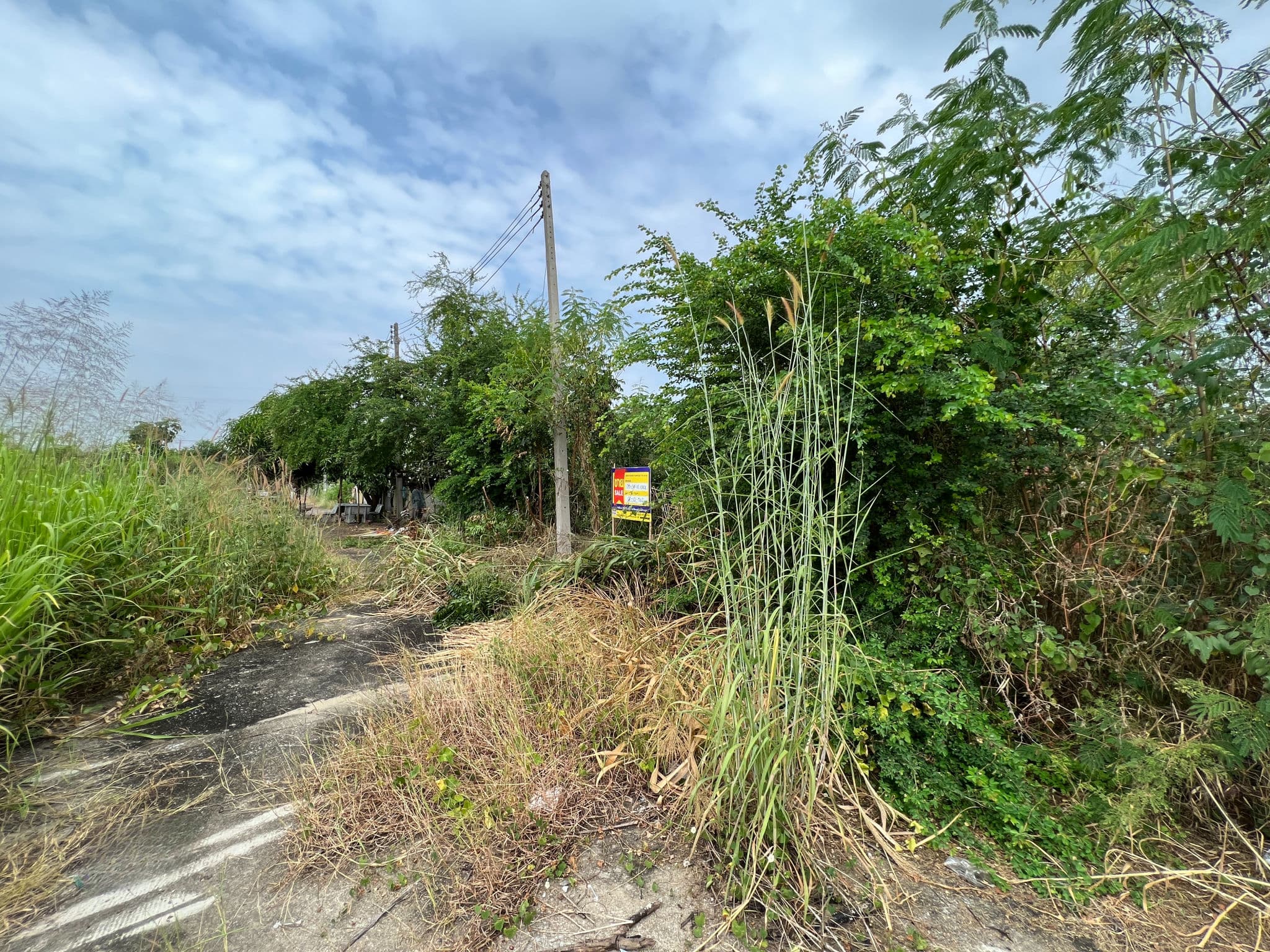 1156e1e6-IMG_6100.jpg