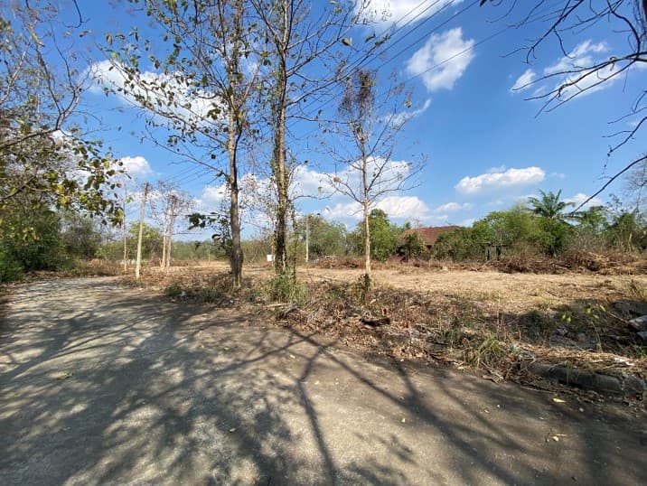 Picture3.jpg