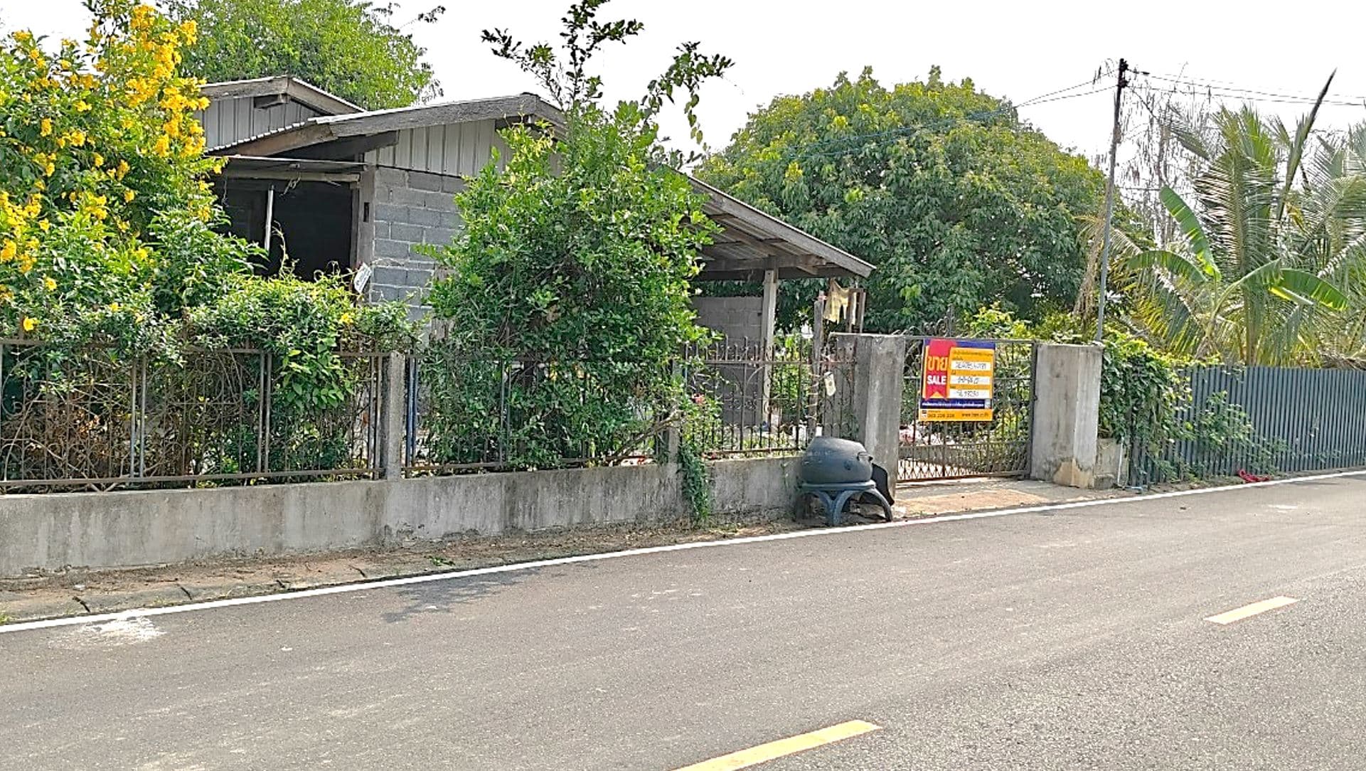 แก้ไข 58250-2.JPG