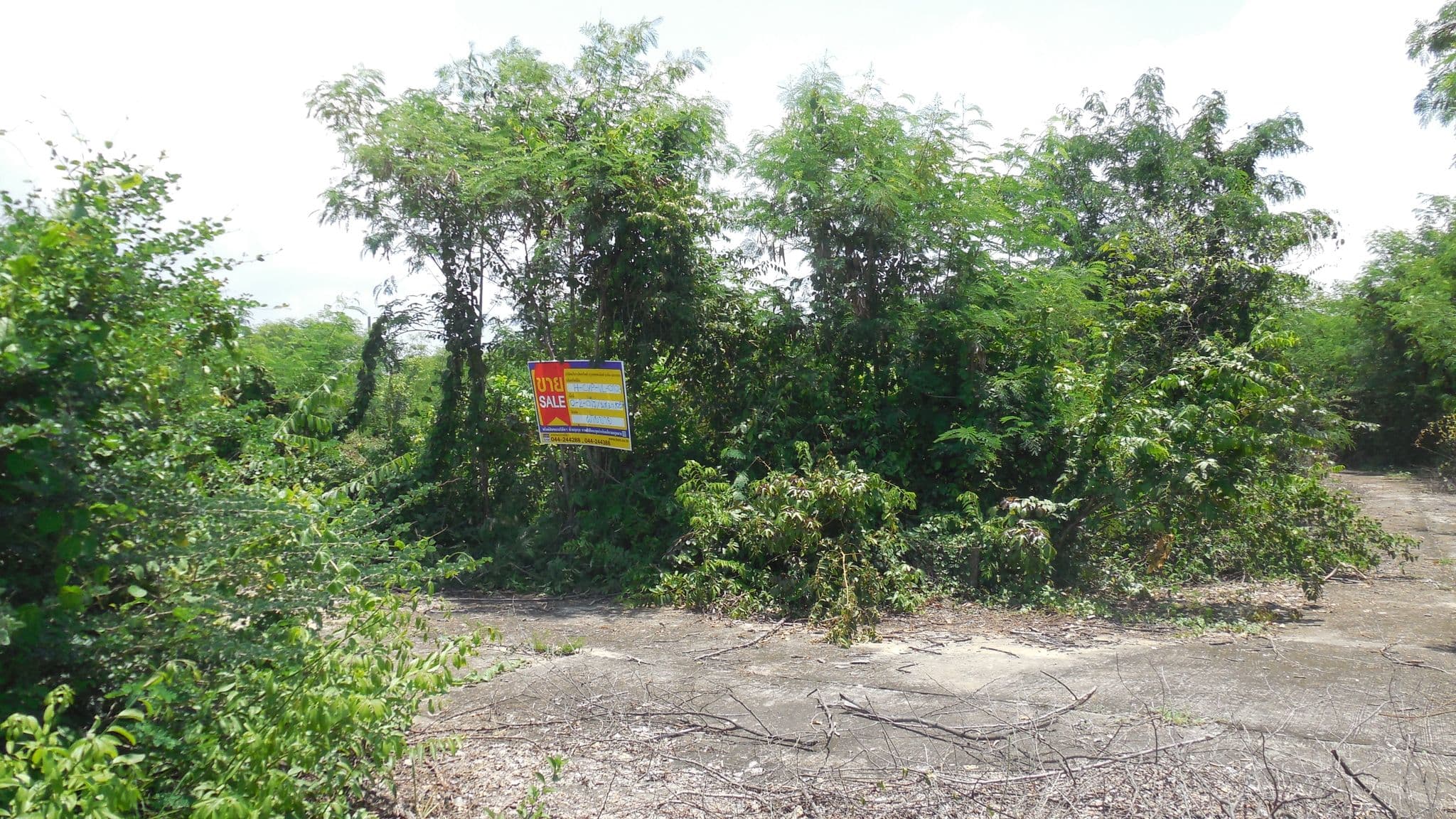 DSCN5723.JPG