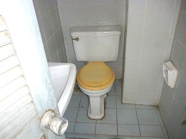 full_20200412190611 (1).jpg