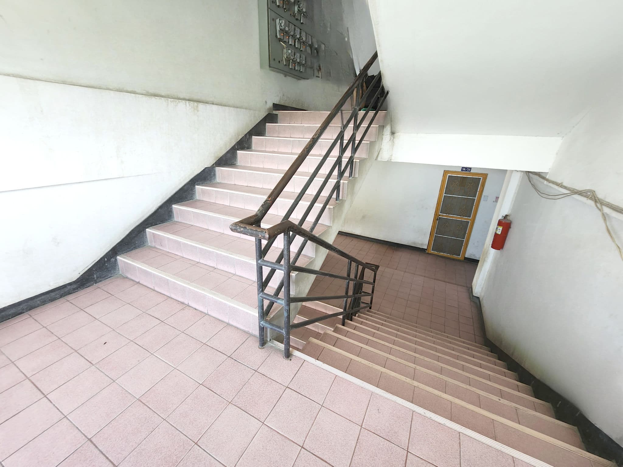 image (12).png