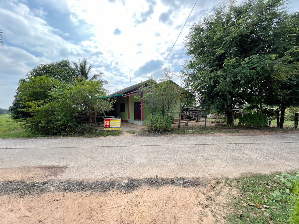 bd49b19d-1700556203613.jpg