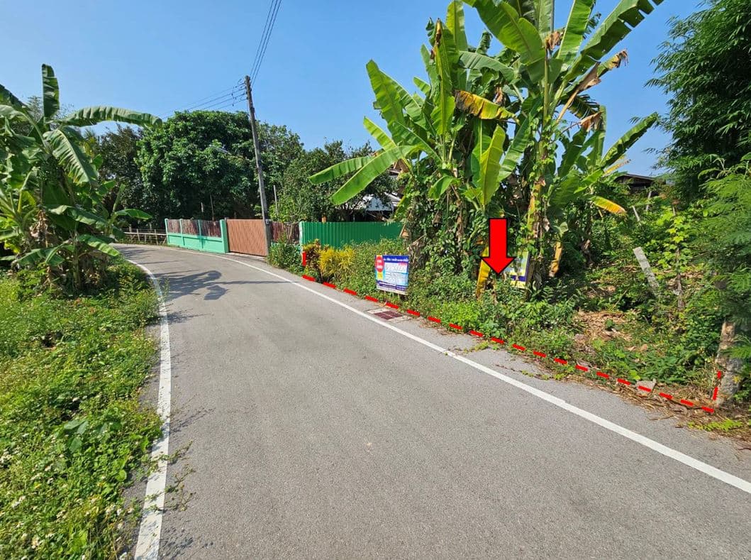 ขวา เว็บ.JPG