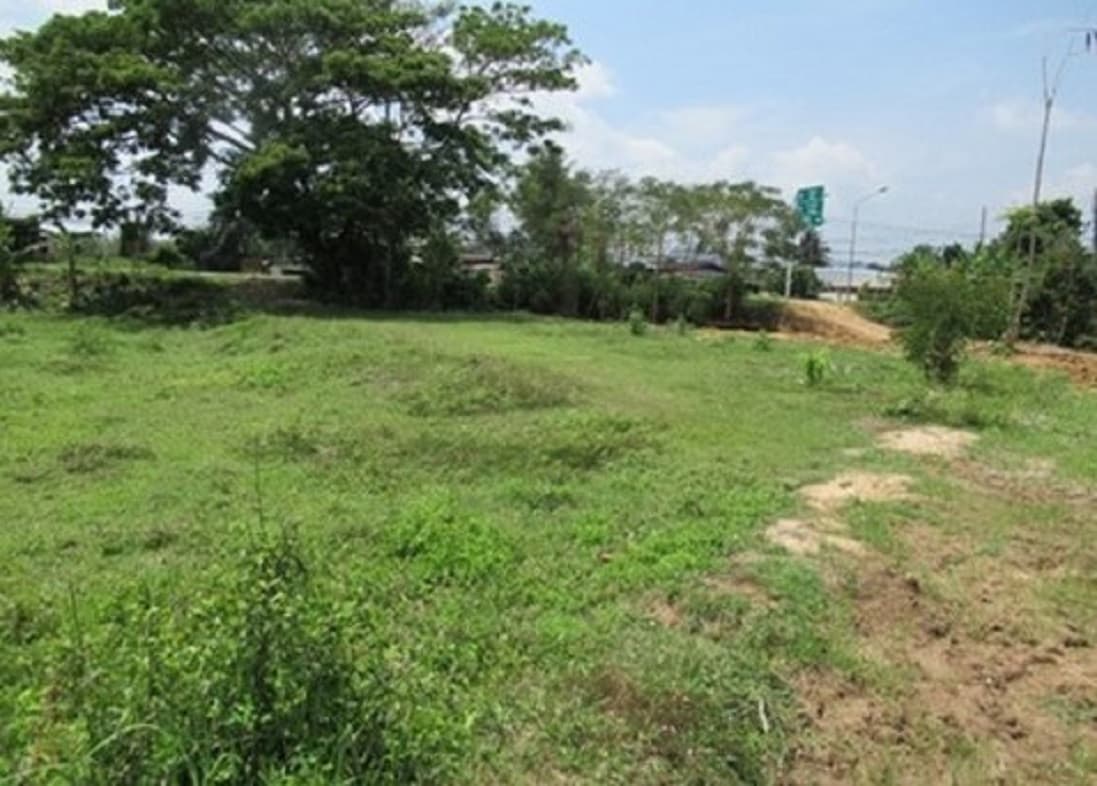 f89bb02b-สไลด์2.JPG
