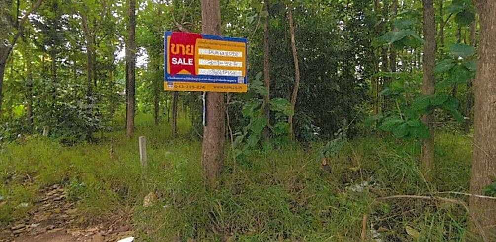 แก้ลงเว็บ7.JPG